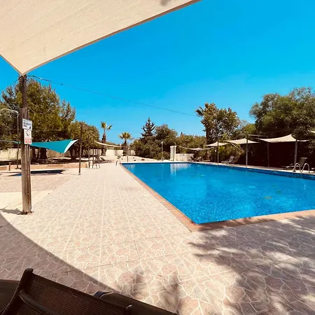 Nissi Sunny Cozy Agia Napa